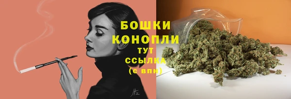 ПСИЛОЦИБИНОВЫЕ ГРИБЫ Алзамай