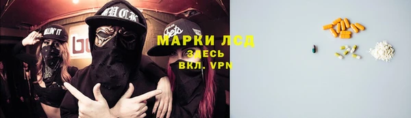 ПСИЛОЦИБИНОВЫЕ ГРИБЫ Алзамай