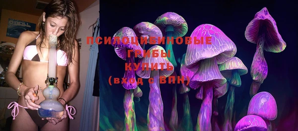 ПСИЛОЦИБИНОВЫЕ ГРИБЫ Алзамай