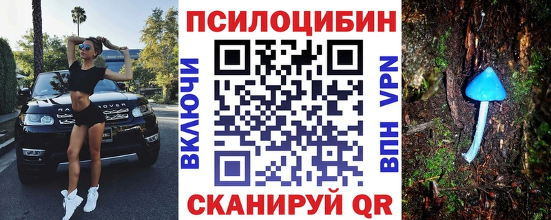 Галлюциногенные грибы Psilocybe  Кыштым 
