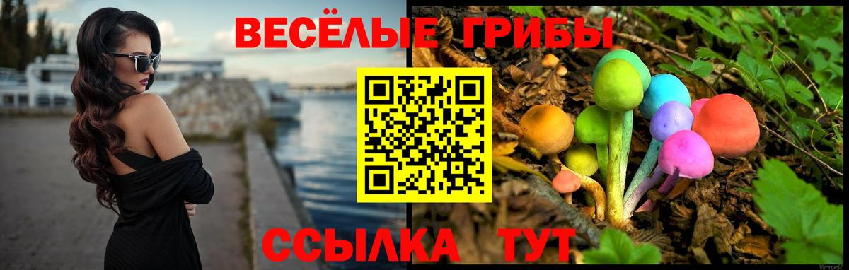 Псилоцибиновые грибы прущие грибы  Вход с VPN  Кыштым 